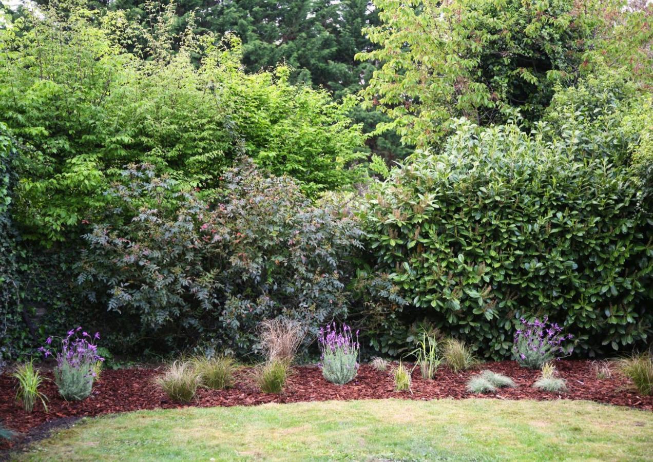 L'Eden Chic - Balneo - Jardin - Parking Gratuit Apartment Arras Bagian luar foto